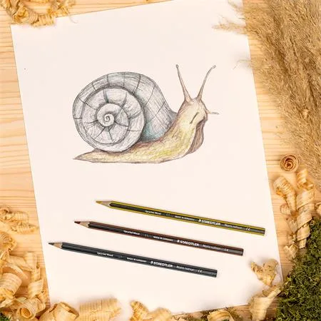 Farebné ceruzky, sada, šesťhranné, STAEDTLER "Noris Colour 185", 24 rôznych farieb 3