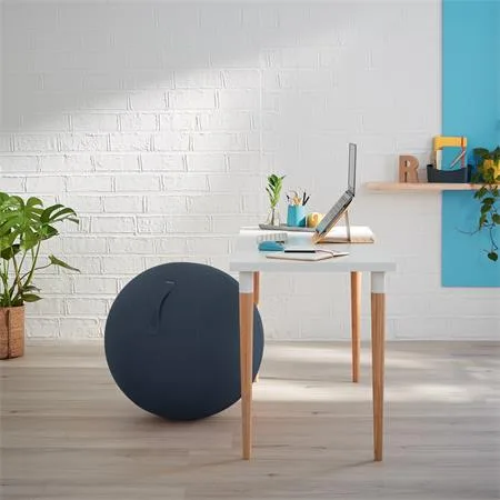 Gymnastická lopta na sedenie, LEITZ "Ergo Cosy", zamatová sivá 4