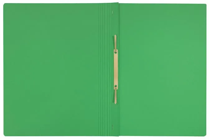 Rýchloviazač, A4, kartón, LEITZ "Recycle", zelená 3