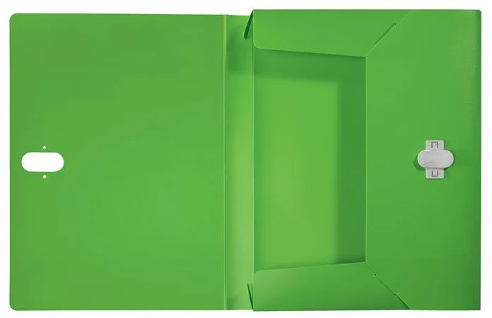 Box na dokumenty, 38 mm, PP, A4, LEITZ "Recycle", zelená 4