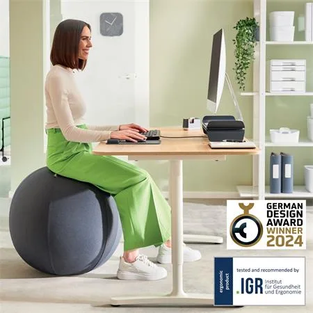 Gymnastická lopta na sedenie, so závažím proti odkotúľaniu, 65 cm, LEITZ "Ergo Active", tmavosivá 2