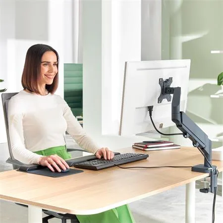 Rameno na jeden monitor, LEITZ "Ergo", tmavosivá 8