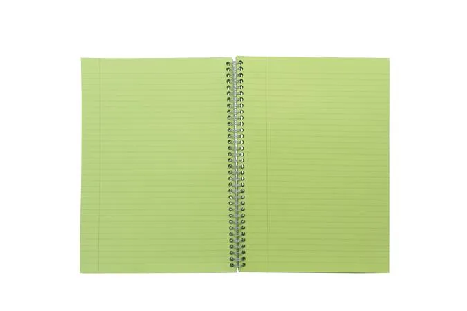 Špirálový zošit, A5, linajkový, 100 listov, PUKKA PAD "Irlen Jotta Green" 2