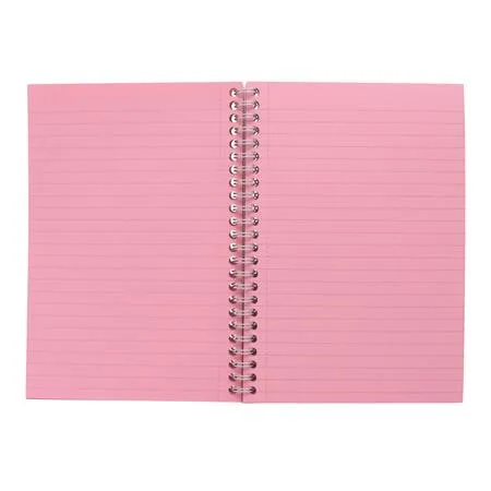 Špirálový zošit, A5, linajkový, 100 listov, PUKKA PAD "Irlen Jotta Rose" 2