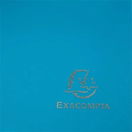 Doska s gumičkou, PP, A4, EXACOMPTA "Opaque", zelená 4