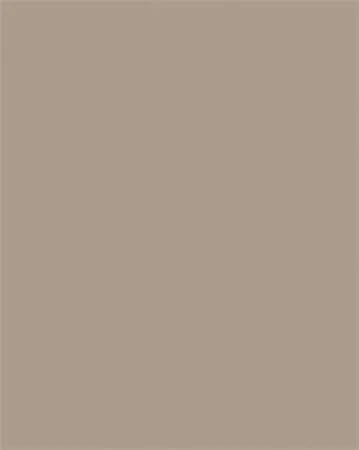 Farebný papier, A4, 130 g, 100 listov, FOLIA, cappuccino 2