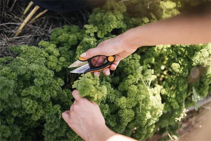 Nožnice na bylinky, FISKARS "Solid™ SP220" 6
