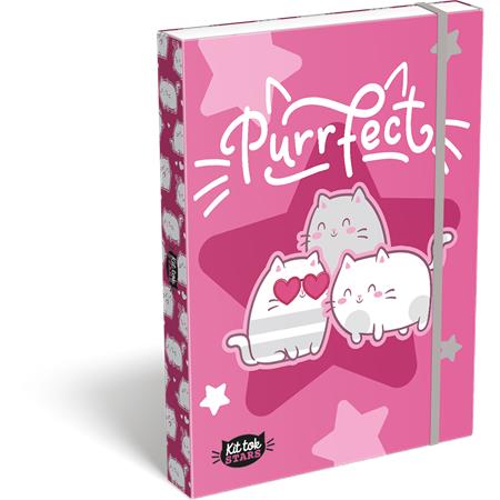Box na zošity, A4, LIZZYSULI, "Kit tok Stars Purrfect"