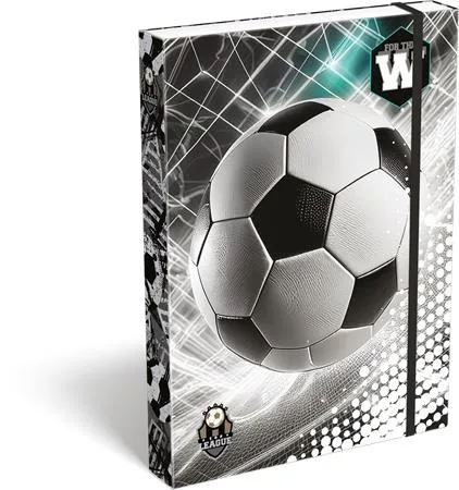 Box na zošity, A4, LIZZYSULI, "Top League"