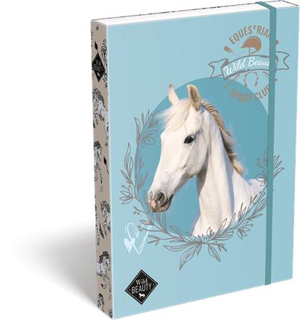 Box na zošity, A4, LIZZYSULI,  "Wild Beauty, Sport Club"
