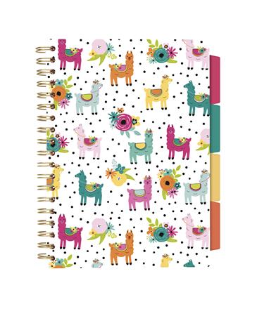 Špirálový zošit, B5, linajkový, 100 listov, PUKKA PAD "Colour Wash Project Book", mix vzorov 2
