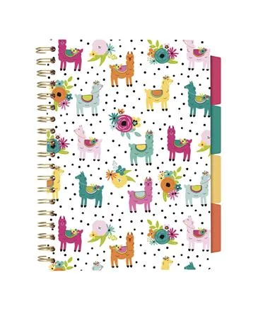 Špirálový zošit, B5, linajkový, 100 listov, PUKKA PAD "Colour Wash Project Book", mix vzorov 2